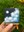 Canvas.jpg